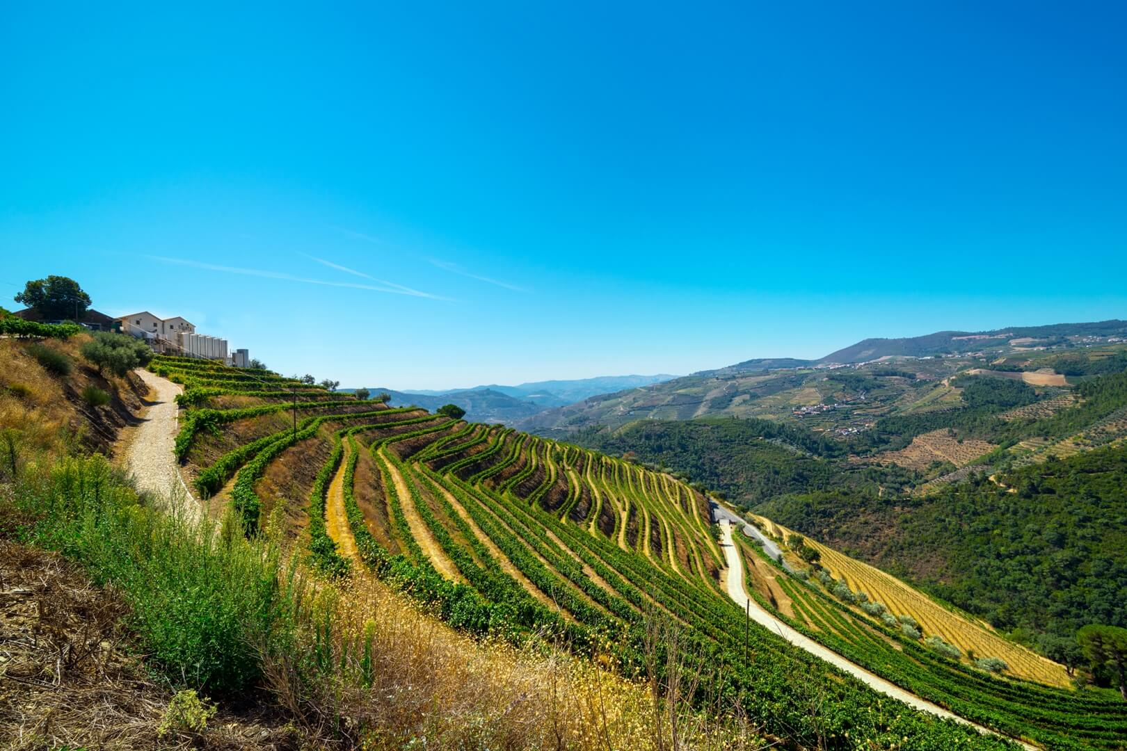 DOURO VALLEY WINE-GROWING AREA PORTUGAL REAL ESTATE | Douro Superior Porto, Cima Corgo, Baixo Corgo